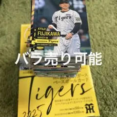 2025年最新】bbm 阪神タイガースの人気アイテム - メルカリ