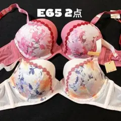 E65 トリンプ　ミスティフラワー AMOSTYLEホープブラ　2点