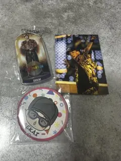 EXILELIVETOUR2025 THE REASON 世界セット