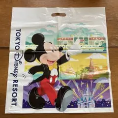 2026年最新】東京ディズニーリゾート ショップ袋・ショッパーの人気
