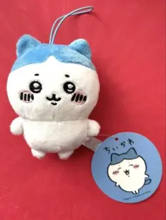 ハチワレ ハチワレがいっぱいマスコット　パツワレ①