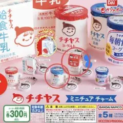 チチヤス　ミニチュアチャーム　セット売り