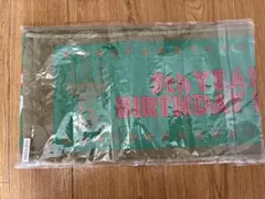 2026年最新】乃木坂46 橋本奈々未 卒業コンサート マフラータオル 5th