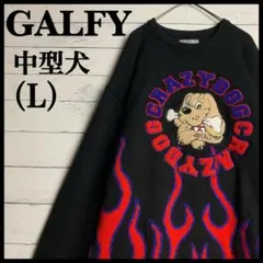 【閉店セール・全品半額】ガルフィー センタービッグロゴ フレイム セーター/98のサムネイル