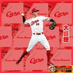 2025年最新】大盛穂の人気アイテム - メルカリ