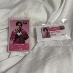 EBiDAN THE LIVE 2025 超特急 カイ トレカ ネームバッジ