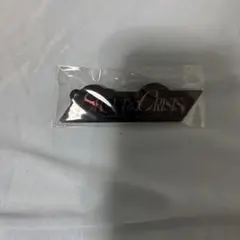 【新品未開封】星街すいせい Shout in Crisis アクリルキーホルダー