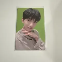 SEVENTEEN セブチ 舞い落ちる花びら トレカ ジョシュア - メルカリ