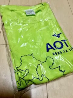 2025青島太平洋マラソンMizuno 蛍光グリーン Tシャツ Lサイズ