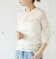 totan シアーtシャツのサムネイル