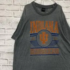 USA製90sヴィンテージTシャツ！シングルステッチグレー古着XL0501のサムネイル