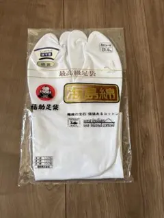 Item thumbnail for item f6178ecb-2b5f-4ac8-9fee-cebea8b4c623