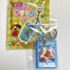 2025年最新】ころわんアクキーの人気アイテム - メルカリ