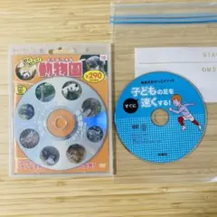 セット