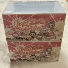 ラブブ Exciting Macaron アソートボックス 1BOX
