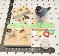 Item thumbnail for item bfcbe05a-b5cd-4e40-9fc1-be9f42092c53