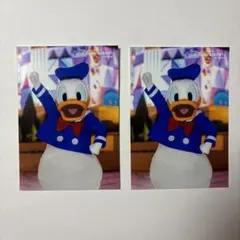 東京ディズニーリゾート　スペシャルフォト　ドナルド　　2024 2025