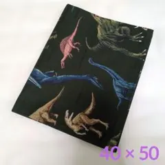 ランチョンマット ハンドメイド 40×50 男の子恐竜柄　No.320