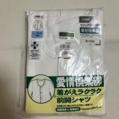 Item thumbnail for item 50e0c707-233e-4545-a849-b95a19514ac7