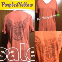 purple&yellow VネックボーダーTシャツ【送料込♡即発送】