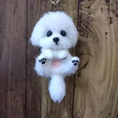 2026年最新】ぬいぐるみ 犬 マルチーズの人気アイテム - メルカリ
