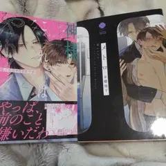 商業 BL 新刊 含 組み換え可能　神様、これはやりすぎです
