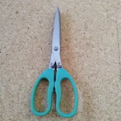 Item thumbnail for item fa875a89-b333-43a6-bd9b-c82f3f41e0a0