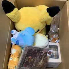 ピカピカボックス 2026 ポケモンセンターオンライン 開封済み