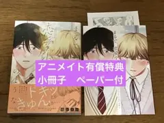 まるで、恋愛小説のような　綿レイニ　アニメイト　小冊子　ペーパー付