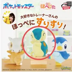 ポケモン ぬいぐるみ 2体セット