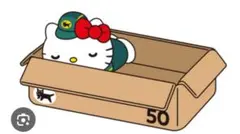 ダイちゃん様専用