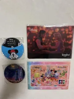 ディズニー　ファイル　缶バッチ　ラプンツェル　ミッキーミニー　ウィッシュ　セット