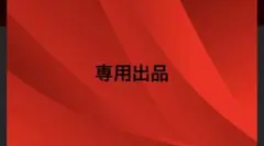 専用出品