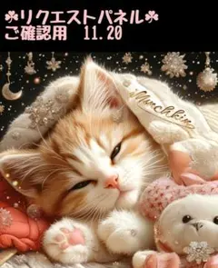 ✩オーダー受付✩フラットポーチ✩猫