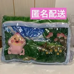 こびとづかん　マスコット入りクッション　カクレモモジリ　②