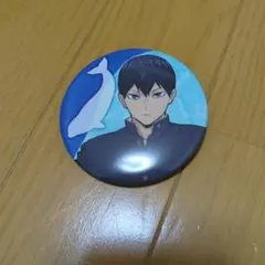 ハイキュー　アクアリウムキャラバン　影山飛雄　スタンプラリー　缶バッジ