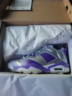 【値下げ】ナイキジョーダンレトロ 6 GOLF NRG ゴルフ 27.0cm