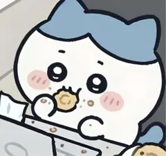 Lavi 専用