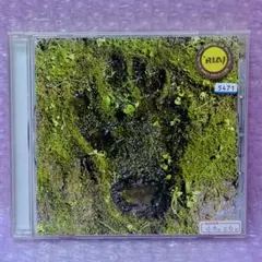 クロマニヨンズ 邦楽