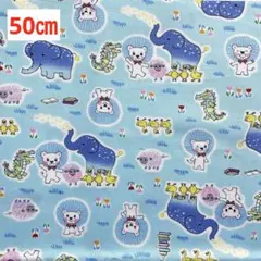 Item thumbnail for item ebbac777-9ce6-43ae-8ce8-2432e4b08857