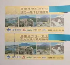 2026年最新】遊園地フリーパス スキー場1日引換券の人気アイテム