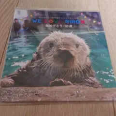 2026年最新】海の中道マリンワールド ラッコ リロの人気アイテム