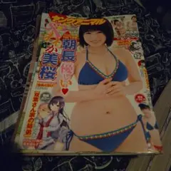 ヤングアニマル 2017年 12号　HKT48 朝長美桜 クリアファイル付き