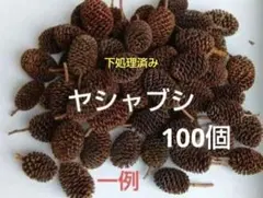 ヤシャブシ　100個　 下処理済 リース　ヤシャブシの実　水質調整　匿名発送