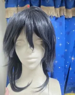 あんスタ 朔間零 ウィッグ