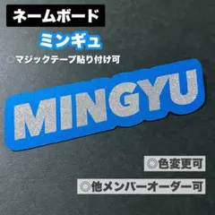 SEVENTEEN ミンギュ ネームボード ペンライト カバー カラット棒