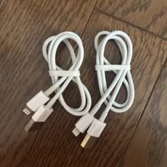Lightningケーブル1m×2本セット ホワイト