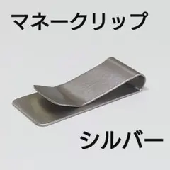 Item thumbnail for item 9c017f7c-7d5d-44d8-beb2-bc0c72ded70e