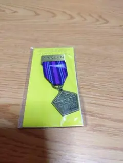 嵐ライヴツアー2014 DIGITALIAN 会場限定のメダルバッジ(紫)