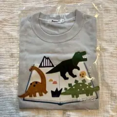 Item thumbnail for item 99001411-c4e7-4d73-8f42-35dd1b77f348